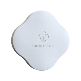 Portable SSD Biwintech PD900 1TB