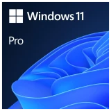 Microsoft Windows 11 Professional 64 Bit ENG Intl 1PK DSP OEI DVD